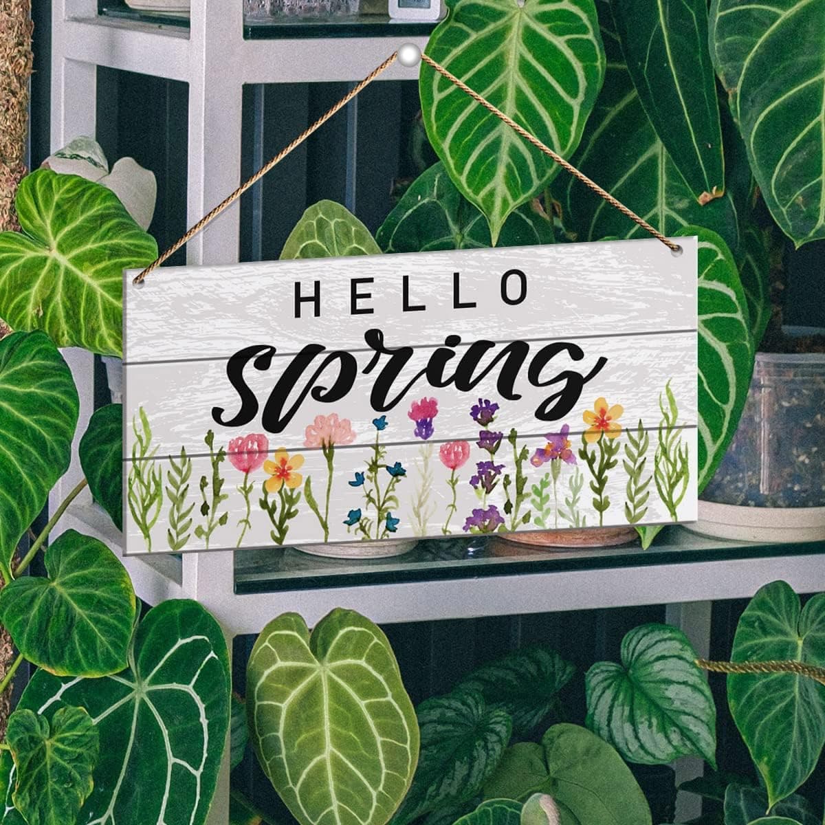 71+pRb5G0bL. AC SL1200